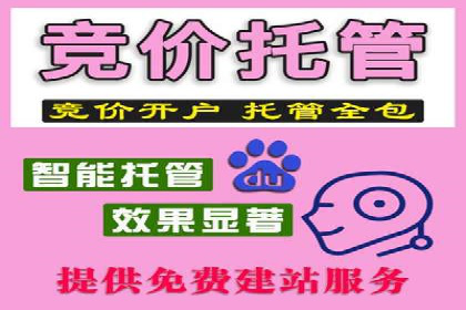 SEM实战案例：案例分析广告投放